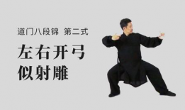 健身气功八段锦视频,轻松入门，养生健身两不误